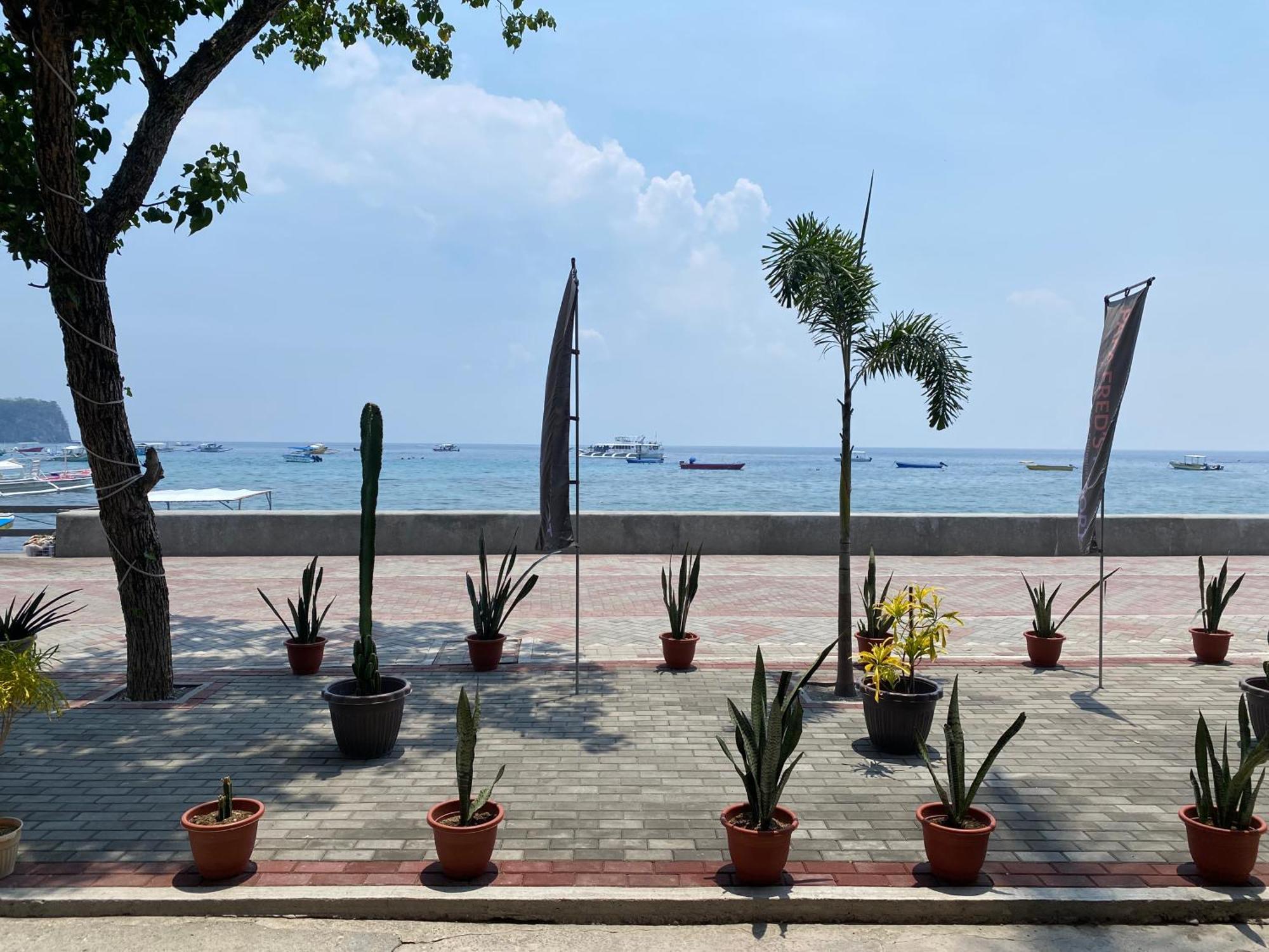 Papa Freds Beach Resort Puerto Galera Luaran gambar