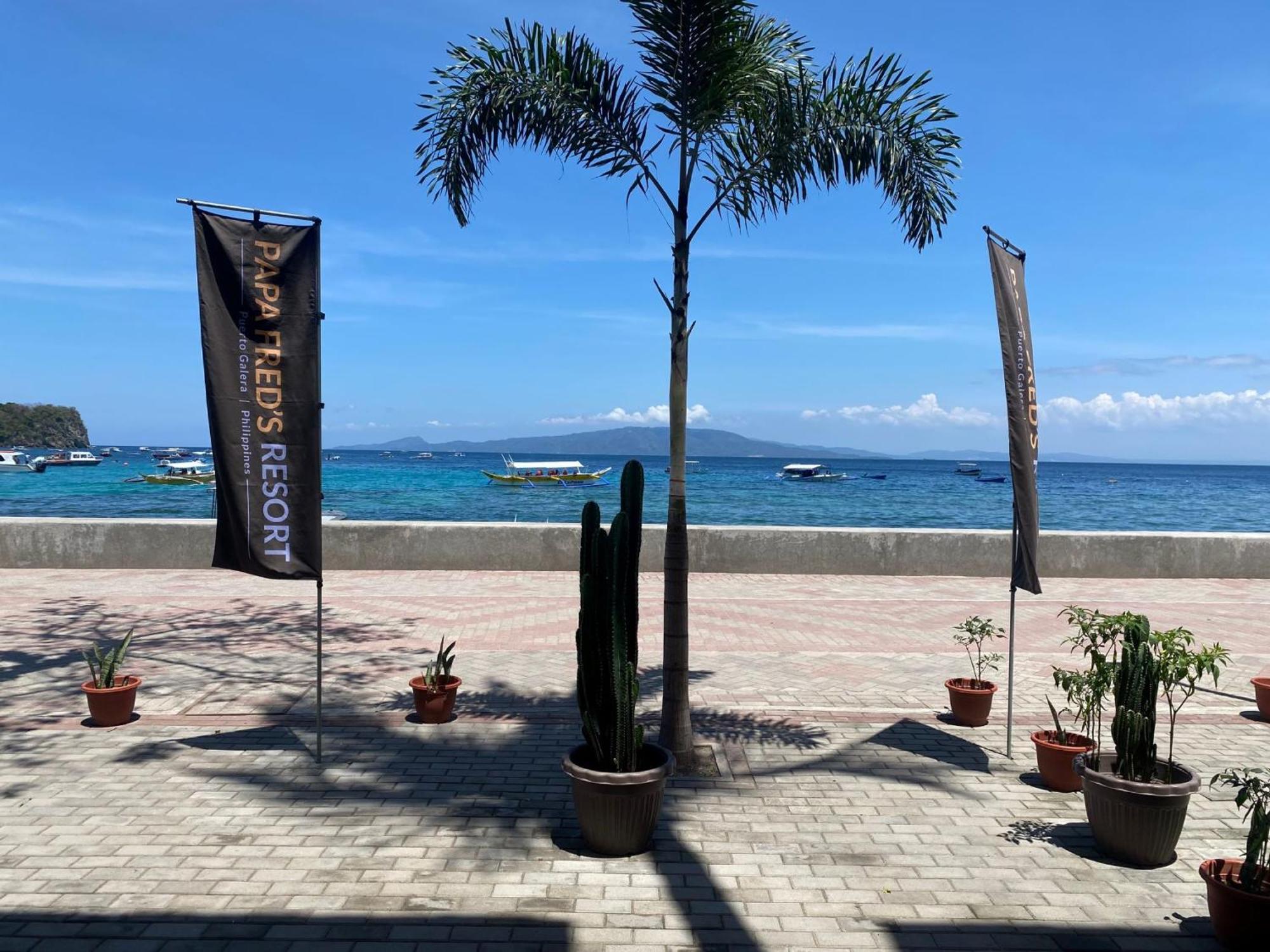 Papa Freds Beach Resort Puerto Galera Luaran gambar